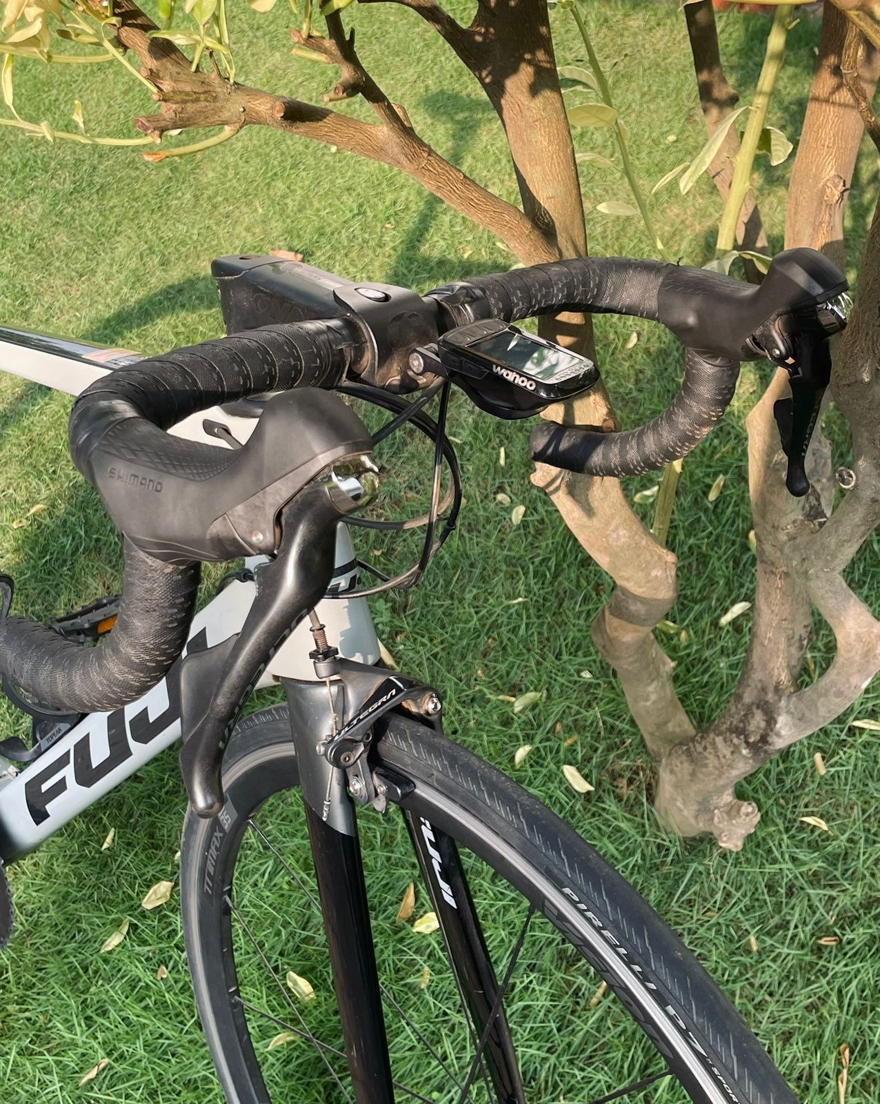 Fuji Transonic 2.1 Road Bike Size- 56  2021