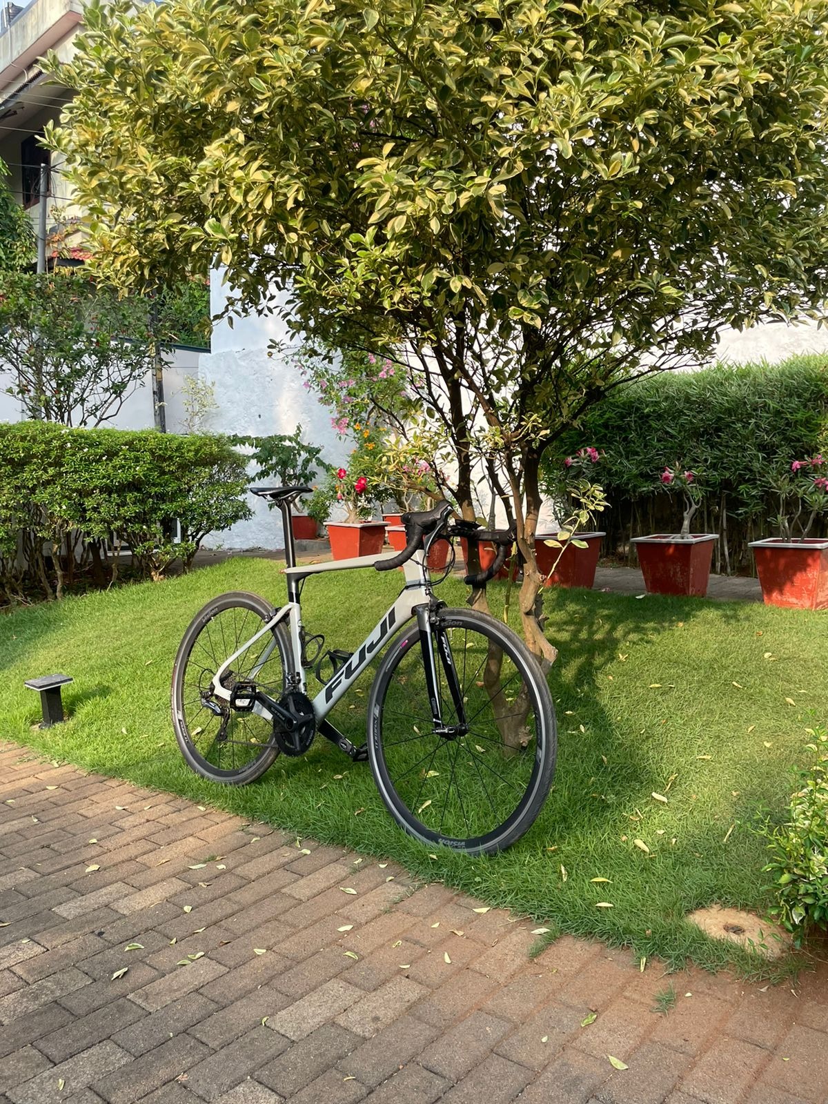 Fuji Transonic 2.1 Road Bike Size- 56  2021