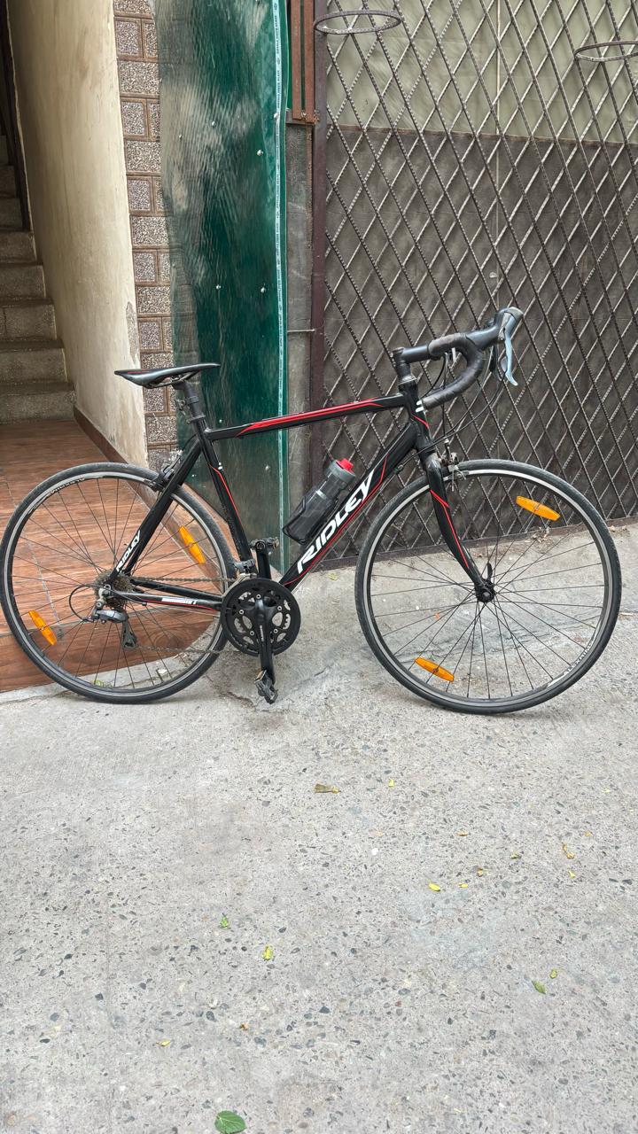 Ridley Damocles 1 Road Bike 2019