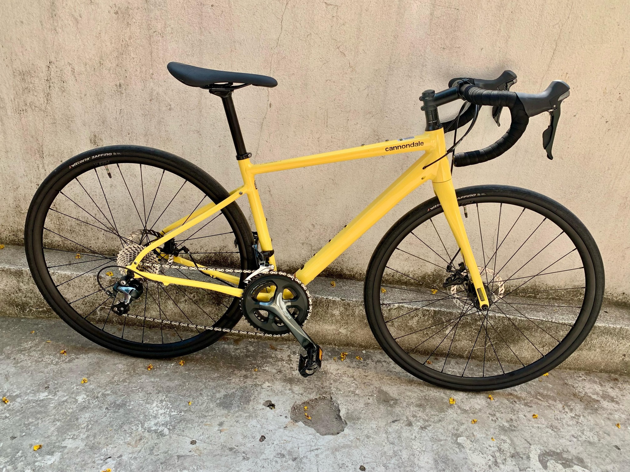 Cannondale Synapse Road Bike 2025 - 51 cms