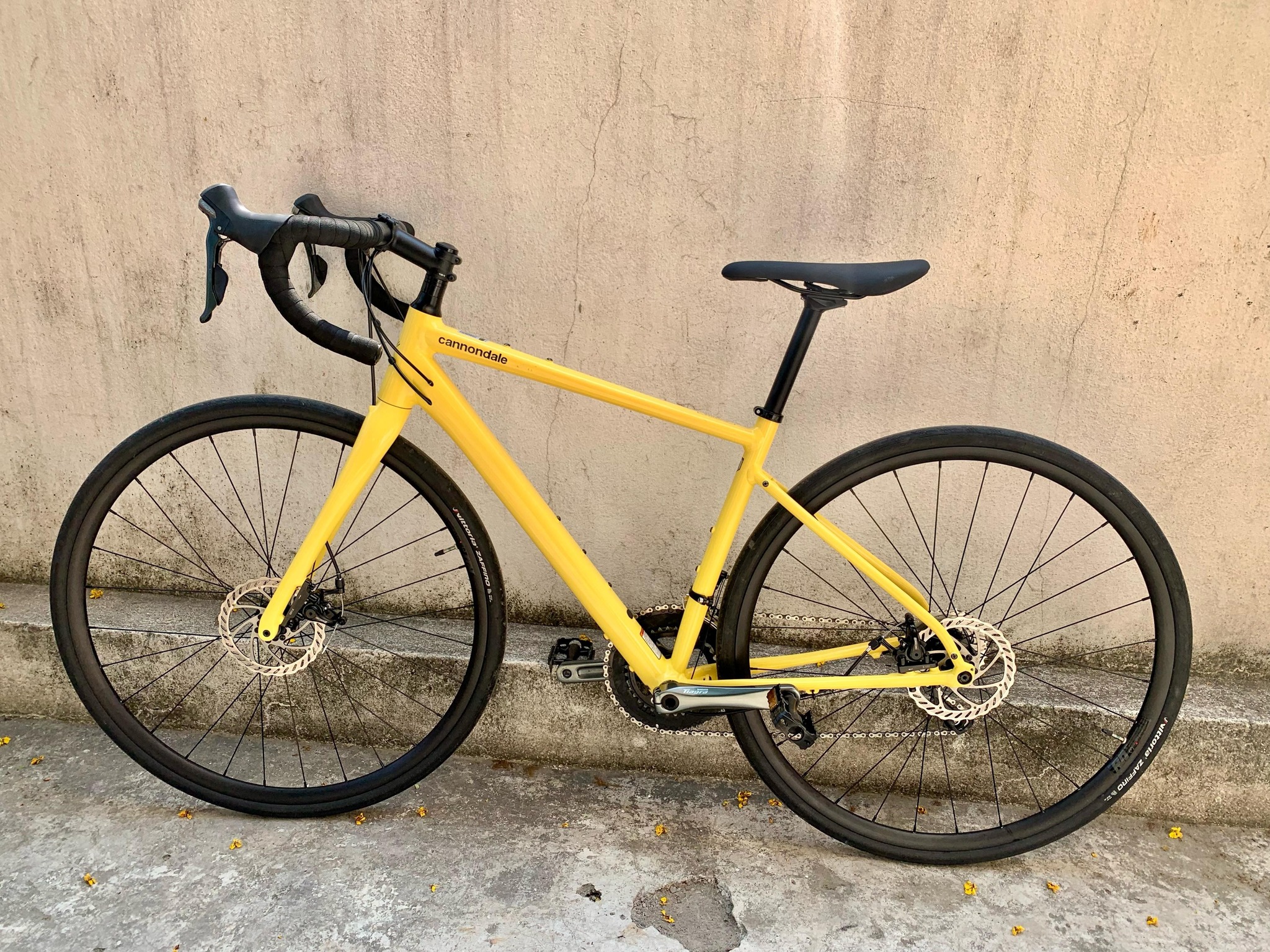 Cannondale Synapse Road Bike 2025 - 51 cms