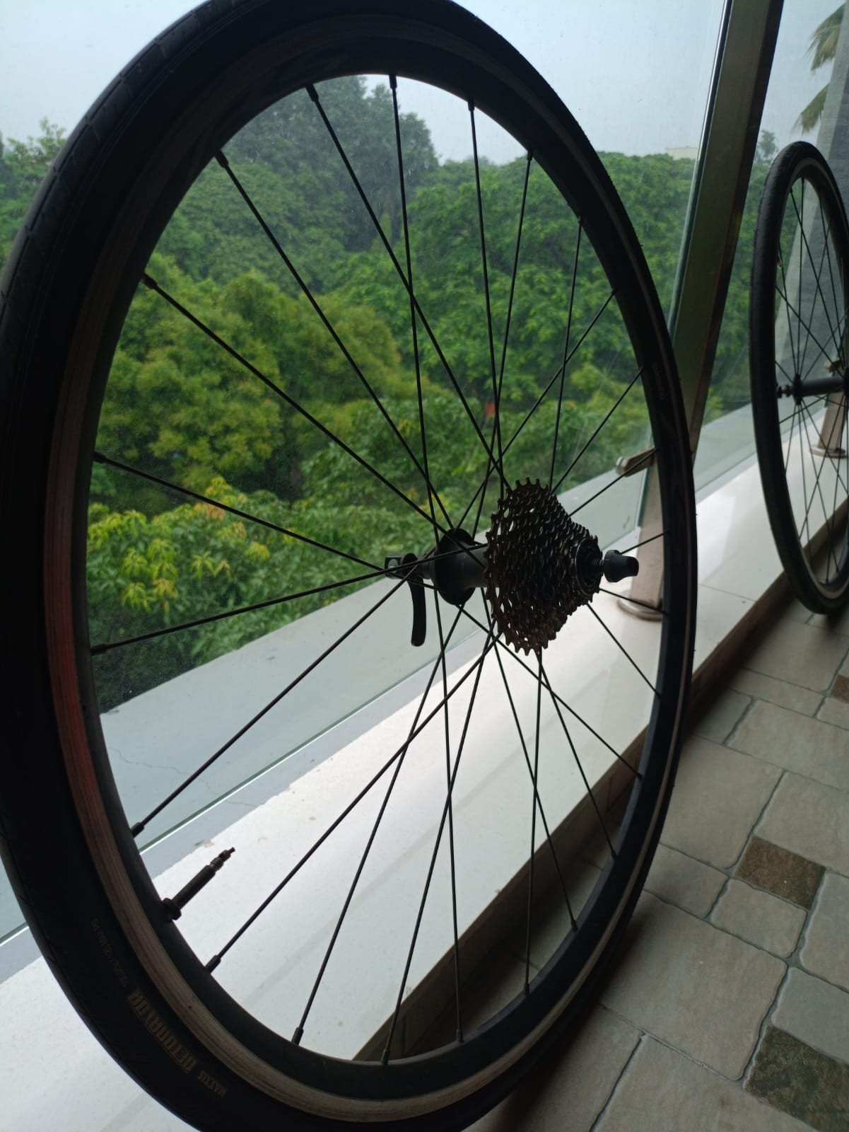 Shimano WH-RS-100