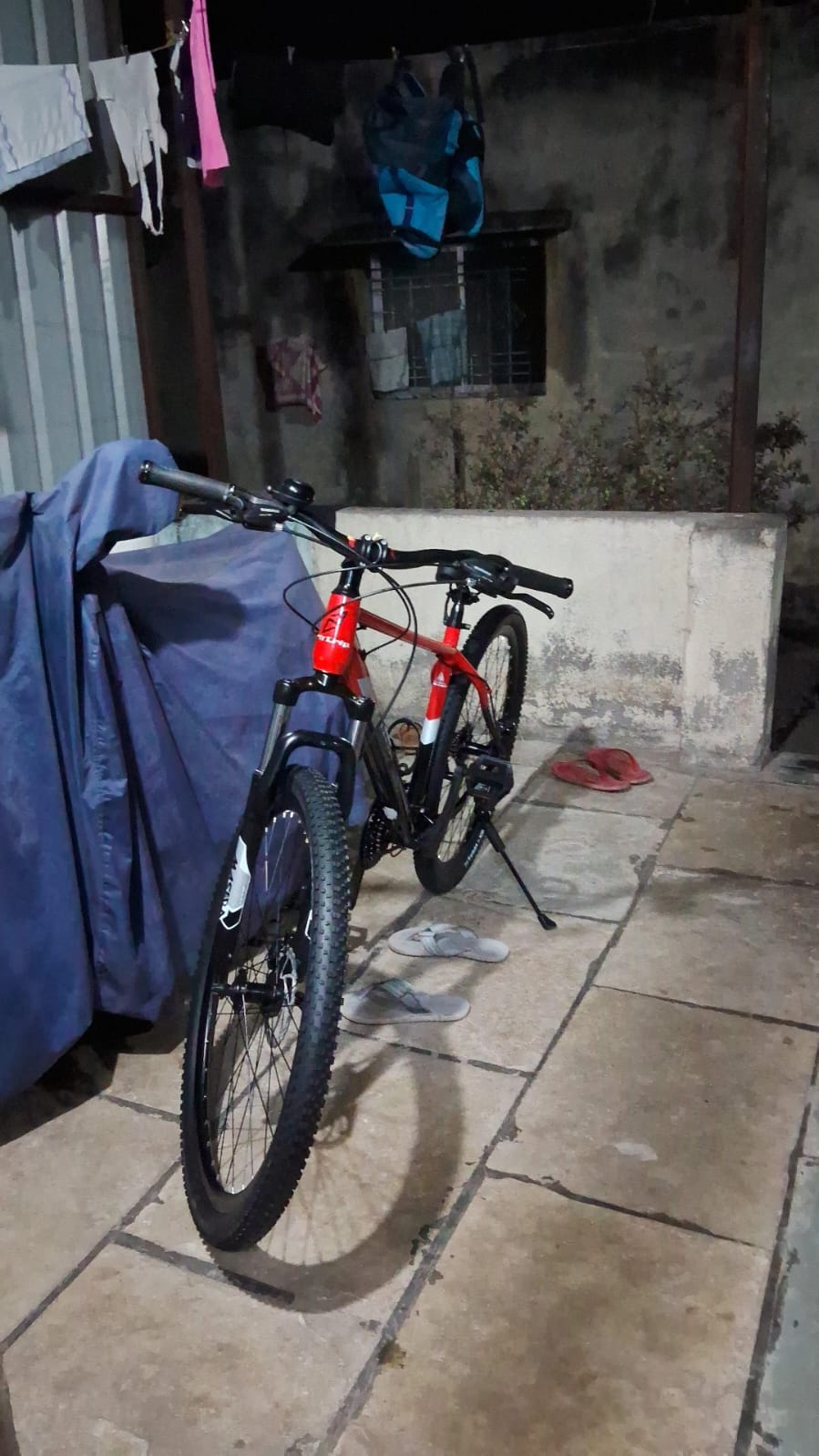  FitTrip  Dominator 21 Speed- 29T MTB