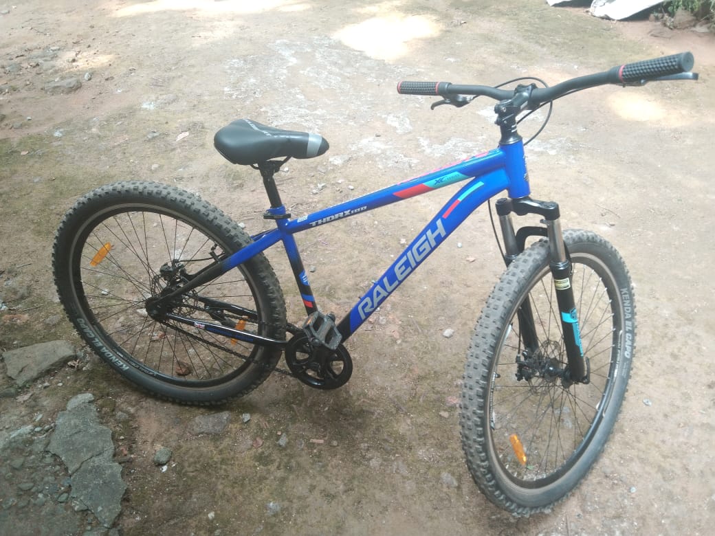 Raleigh MTB  -Dual disk - 29er