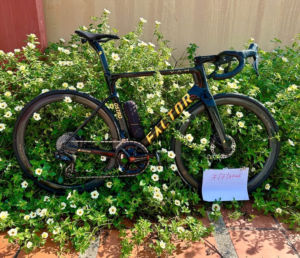 Factor Ostro VAM Black Gold Edition 56cm