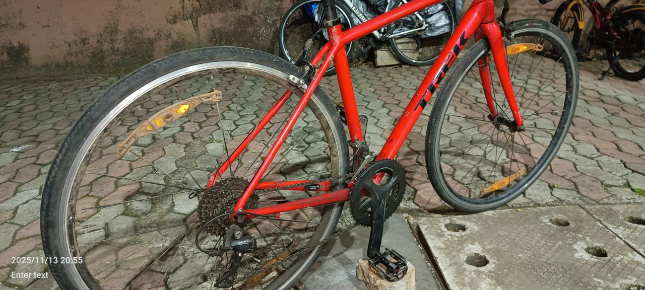 Trek Domane AL3-52cms-2019-Rim