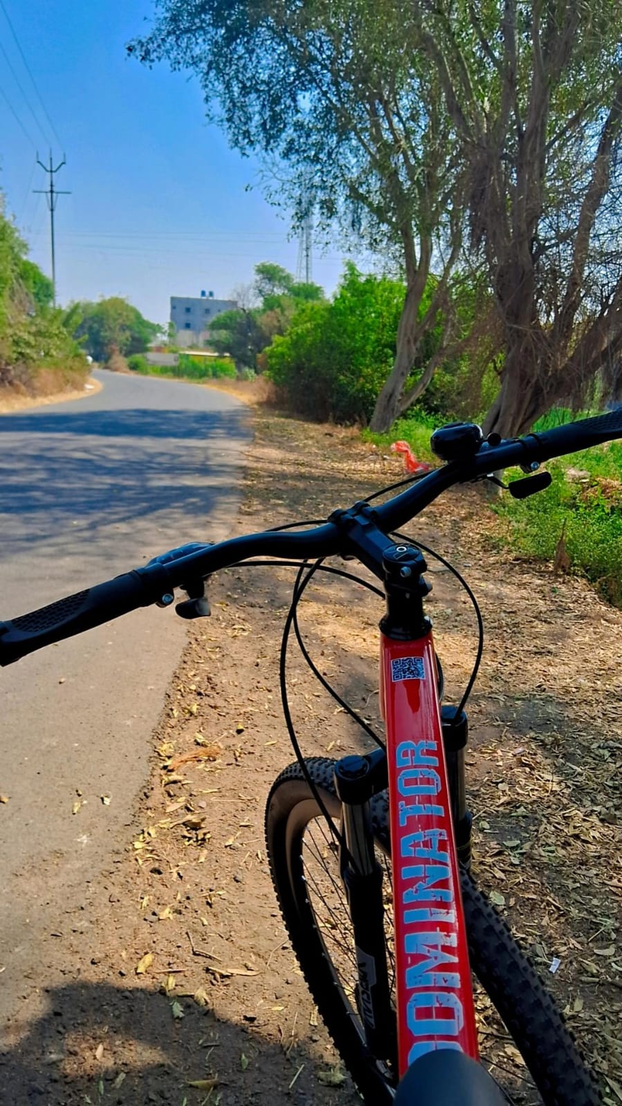  FitTrip  Dominator 21 Speed- 29T MTB