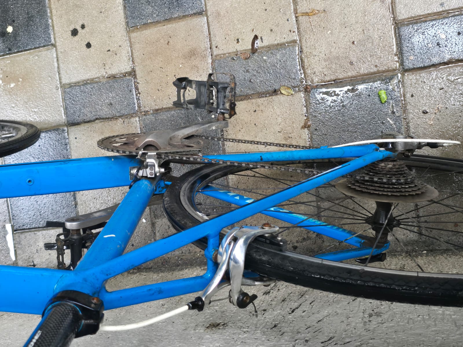 GIANT DEFY 1 CD 20 SIZE-58.5CM XLROAD BIKE 2016