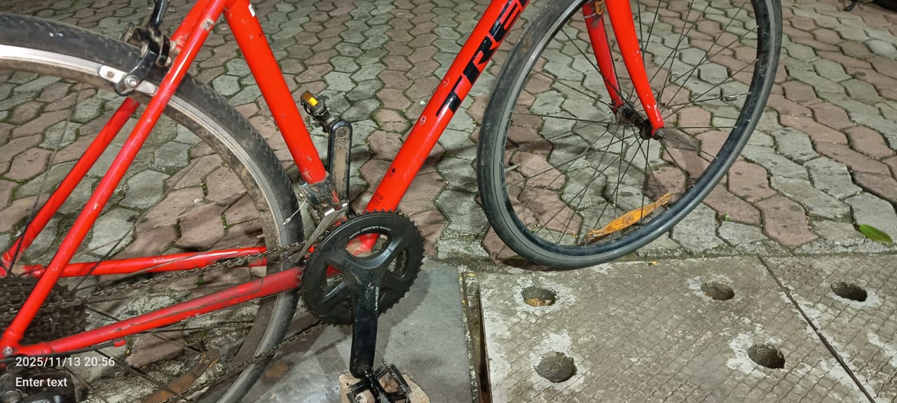 Trek Domane AL3-52cms-2019-Rim