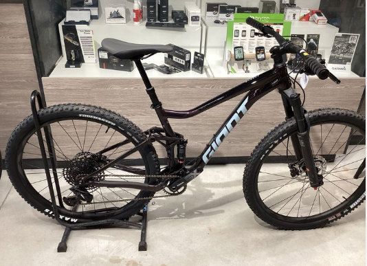 GAINT STANCE 1- M -29-MTB