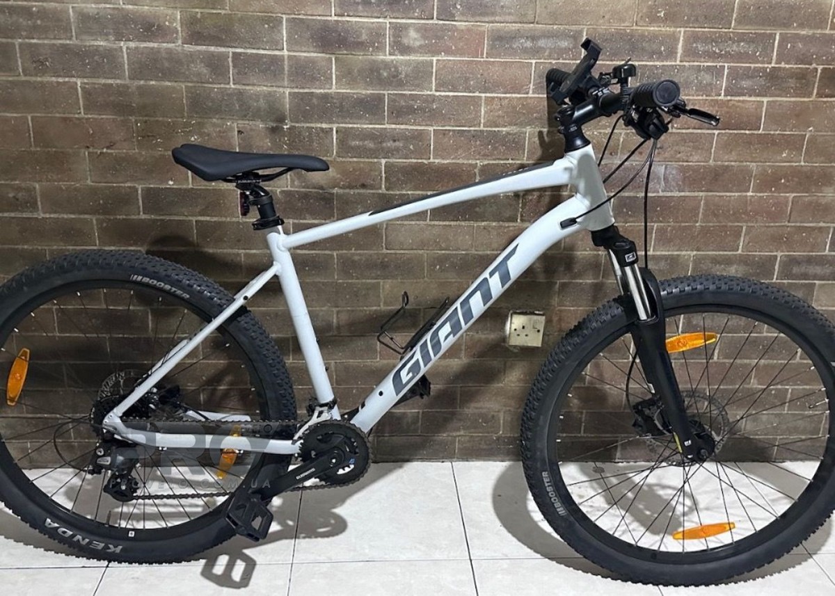 GIANT TALON 3-29-MTB-M-2024 -MTB