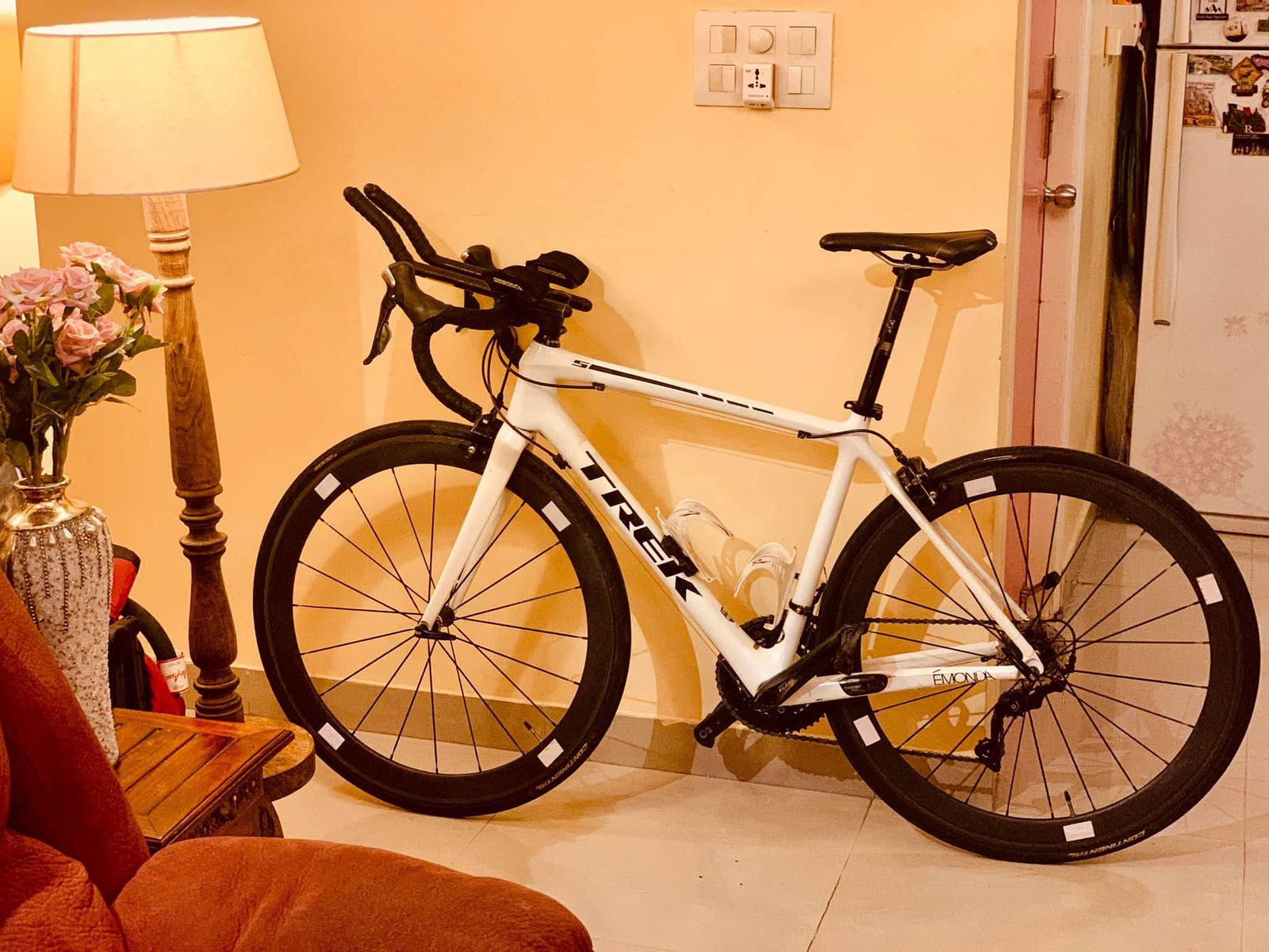 TREK EMONDA S 5 2019-105-Small-Road Bike