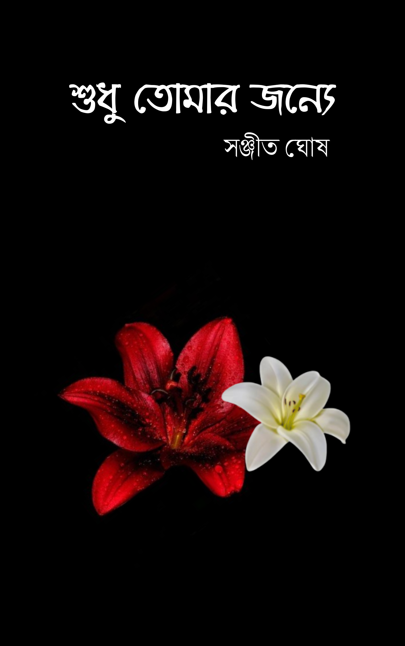 Shudhu Tomar Jonne (For You Only) - Book