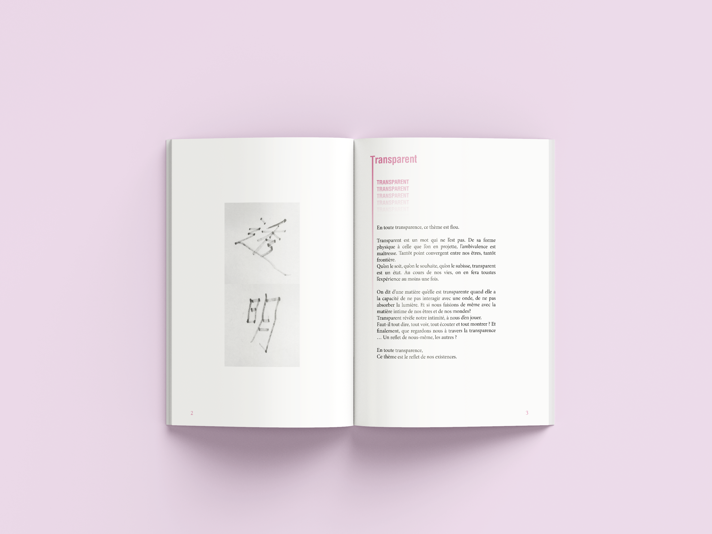 Pavé La Revue - TRANSPARENT