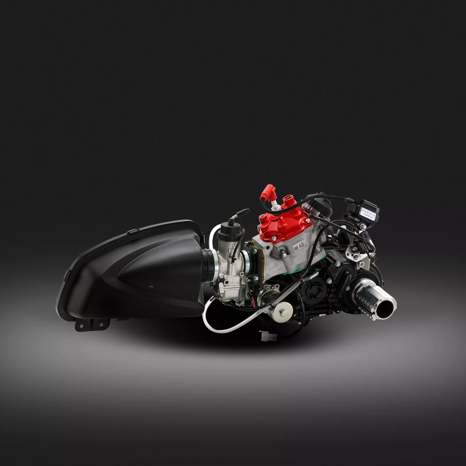 Rotax 125 MAX DD2 Evo