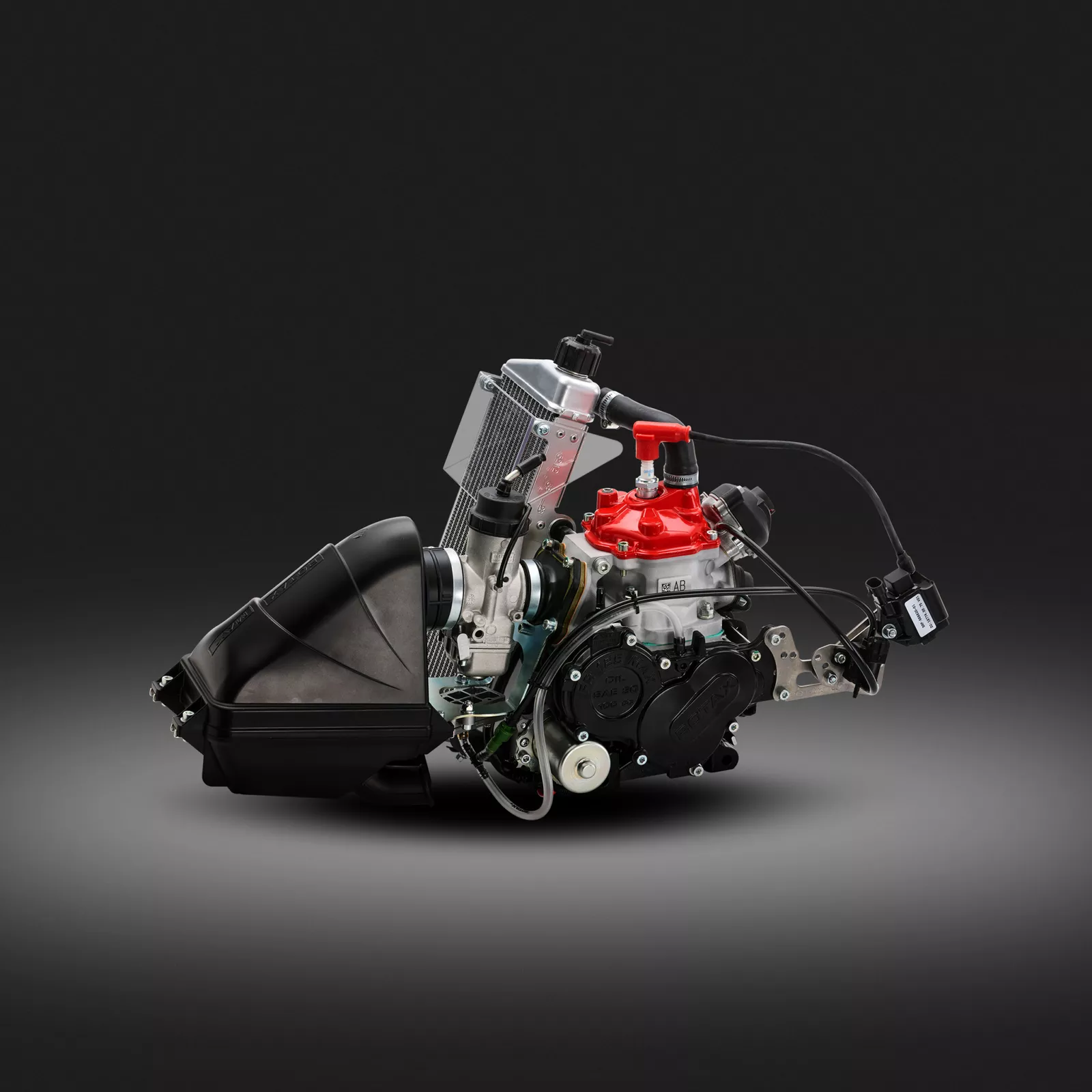 Rotax 125 Senior MAX Evo