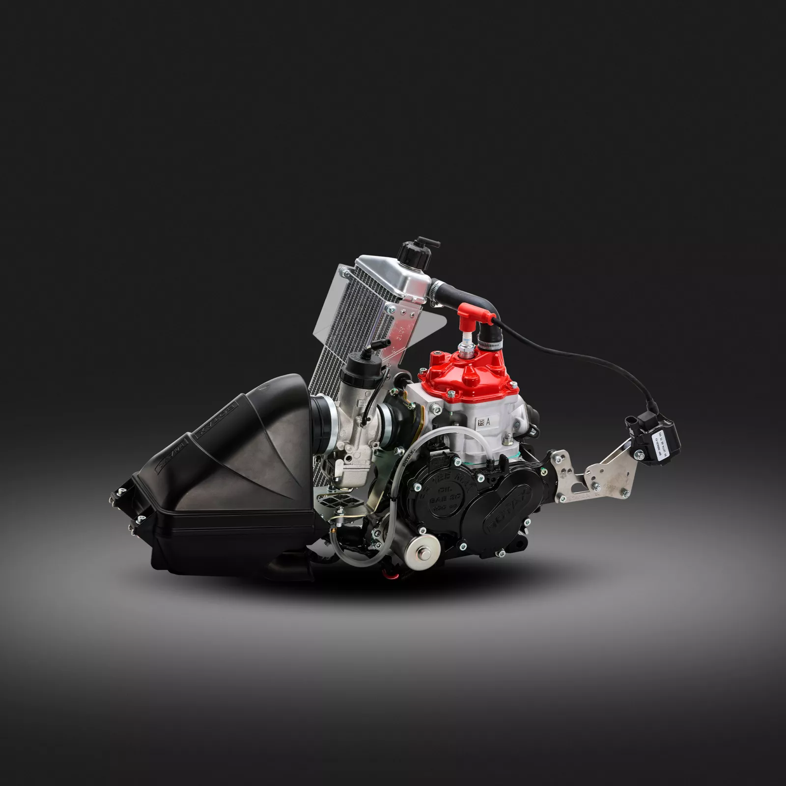 Rotax 125 Junior MAX Evo