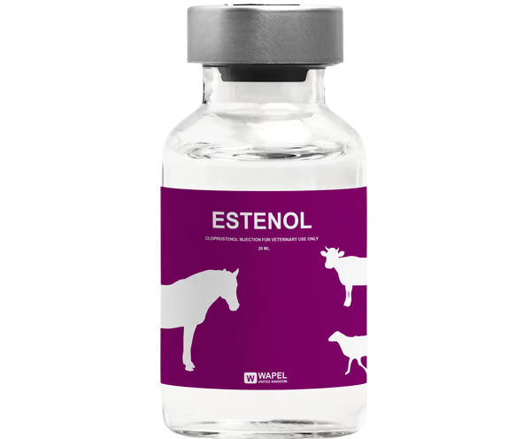 ESTENOL