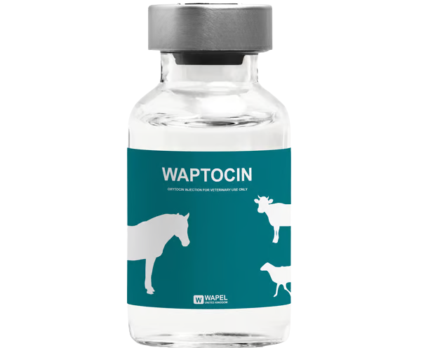 WAPTOCIN