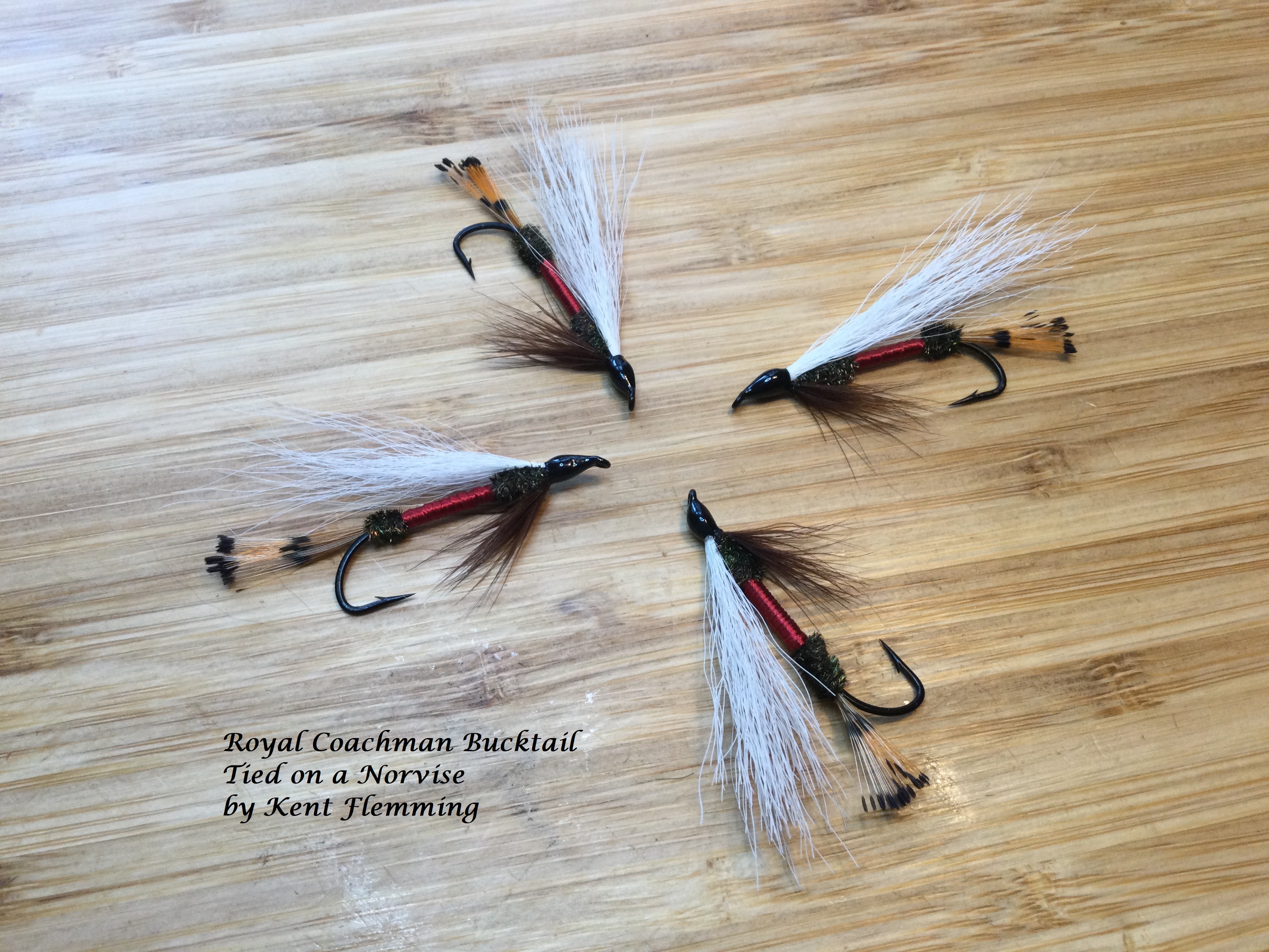 Royal Coachman Bucktail
