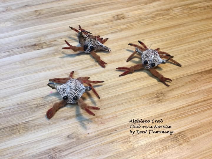 Alpheus Crab