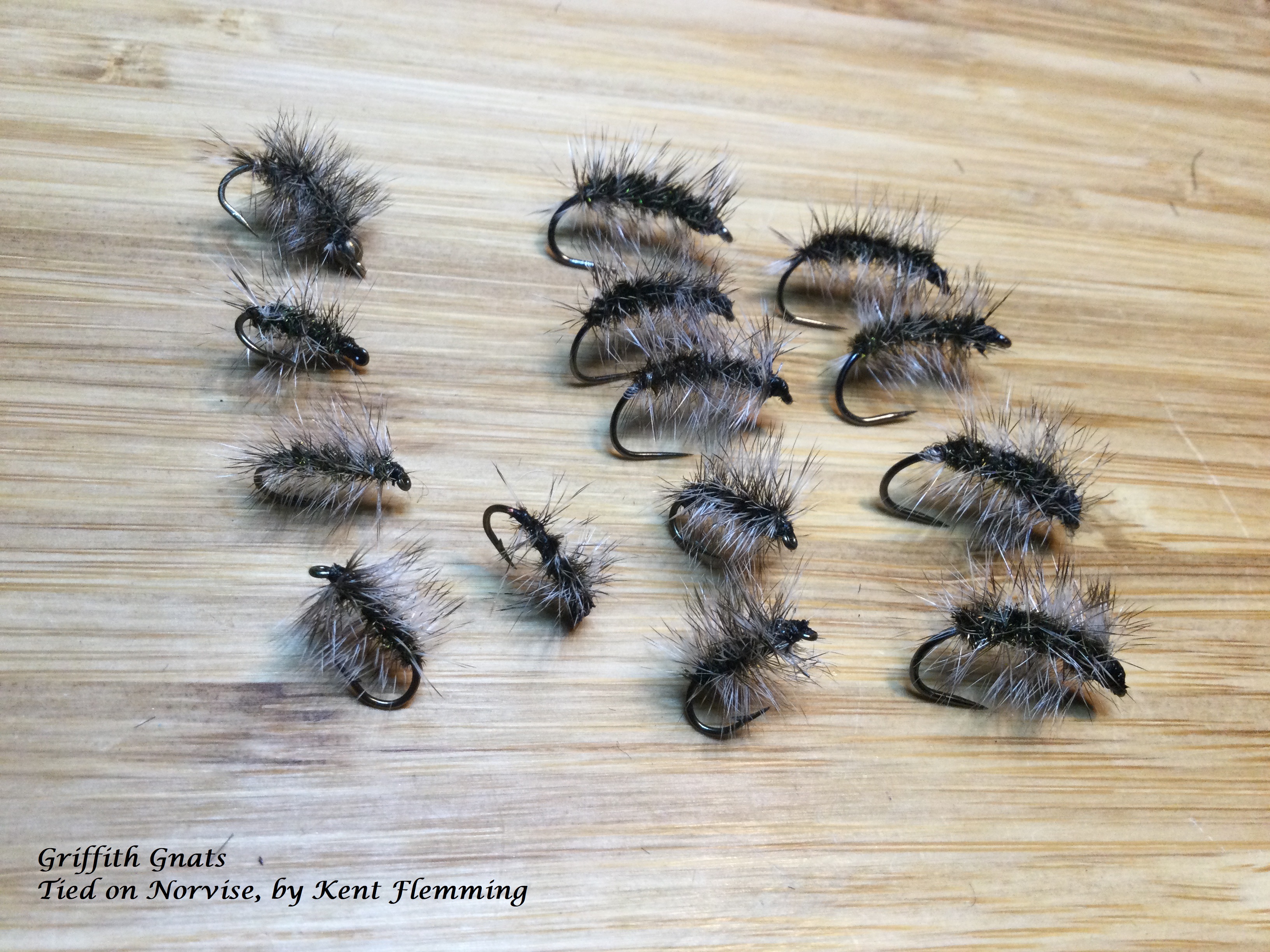 Griffith Gnat