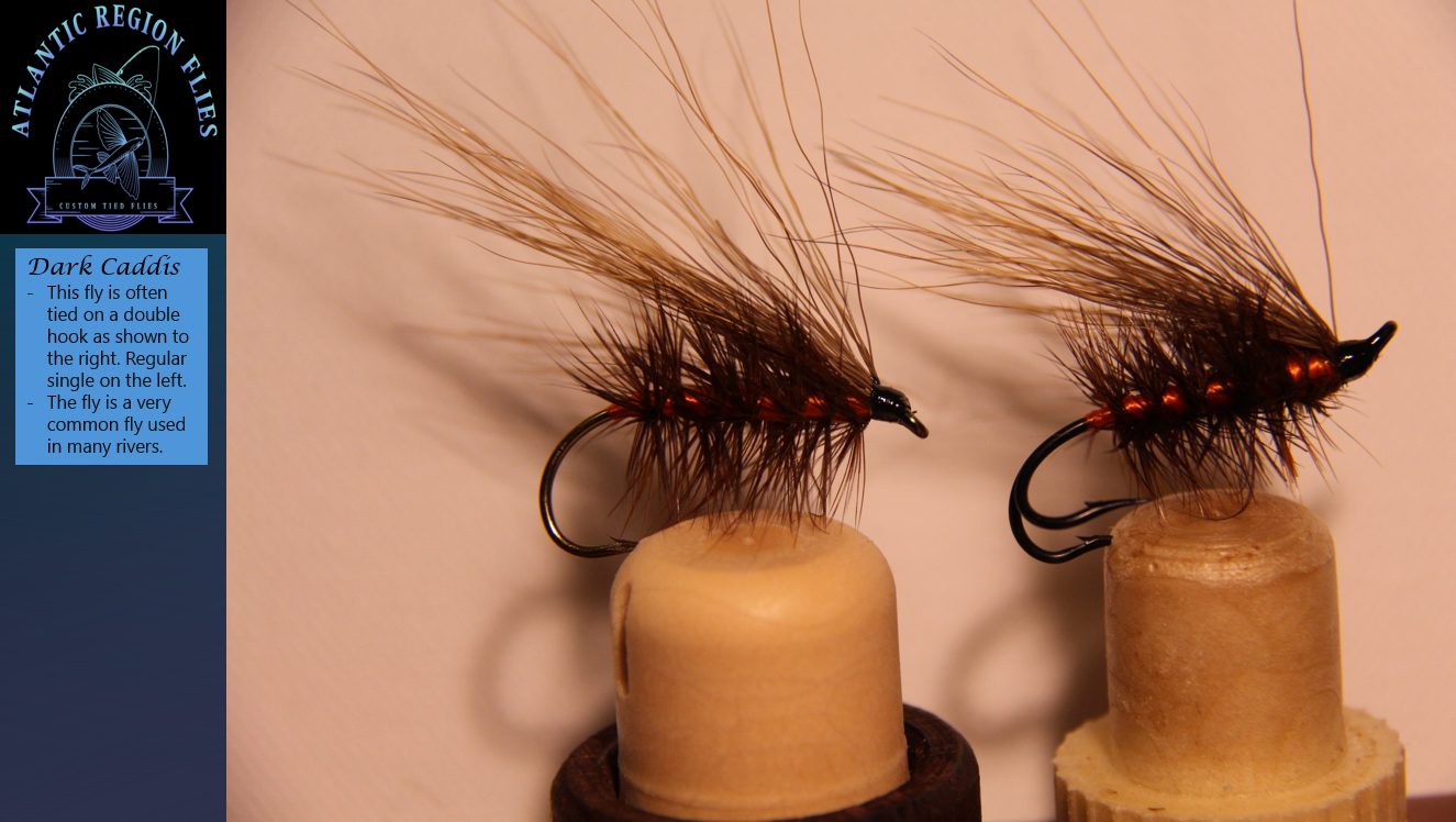 Dark Caddis
