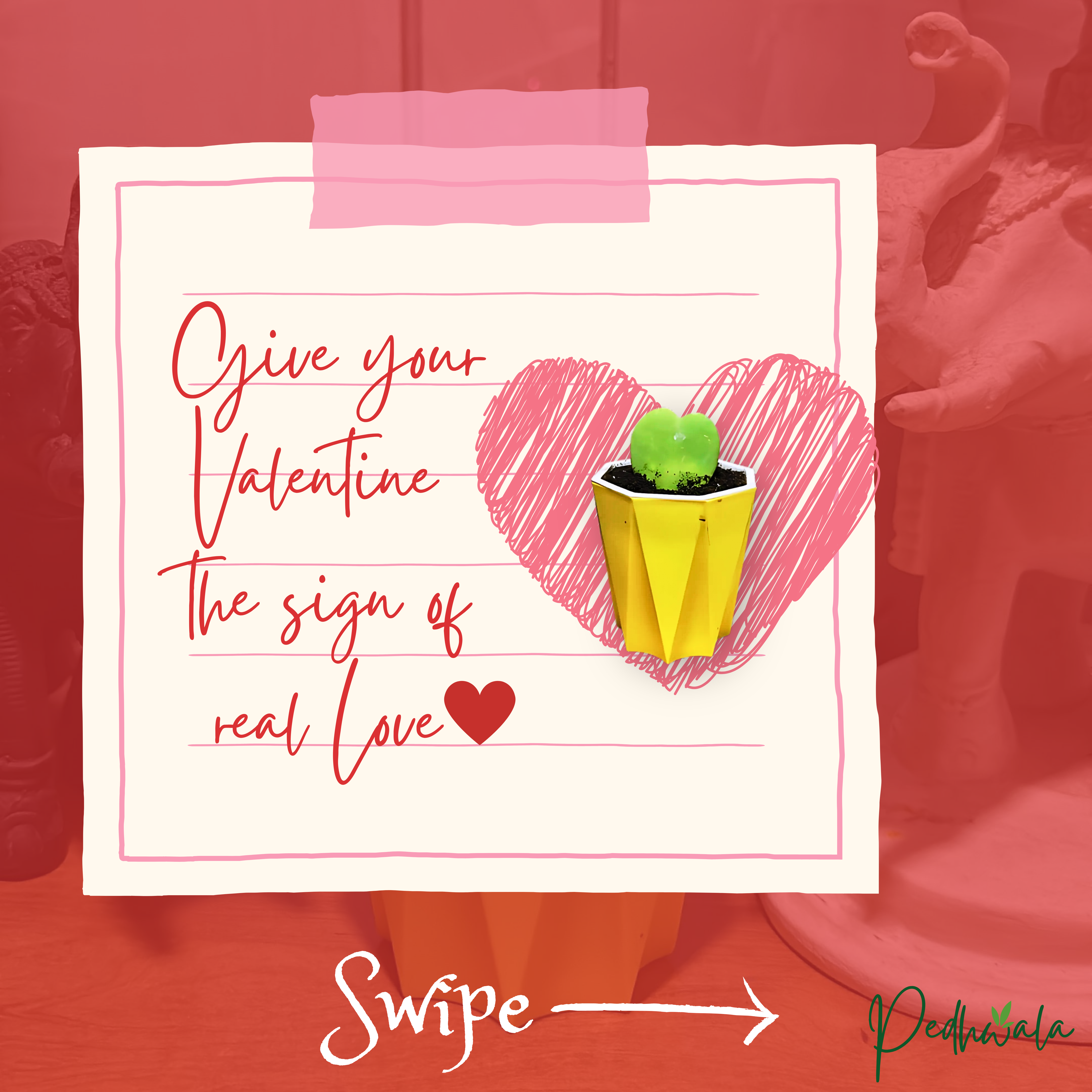 Hoya Heart - Give your Valentine the sign of real LOVE