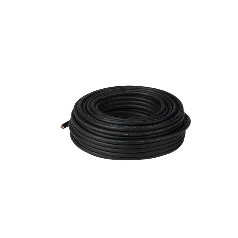 Black Coiled Hose