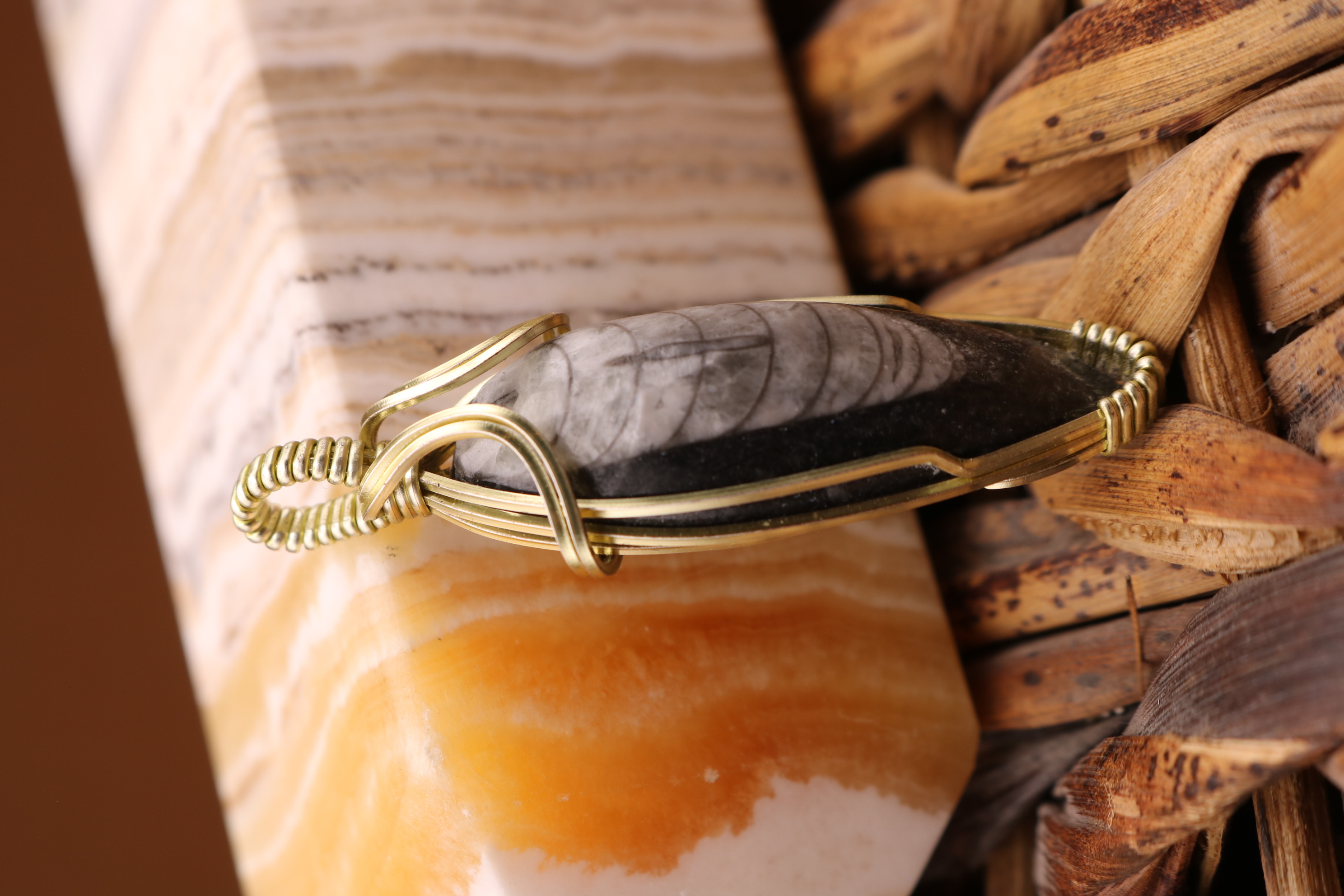 Gold Wire Wrapped Orthoceras Fossil Necklace Pendant