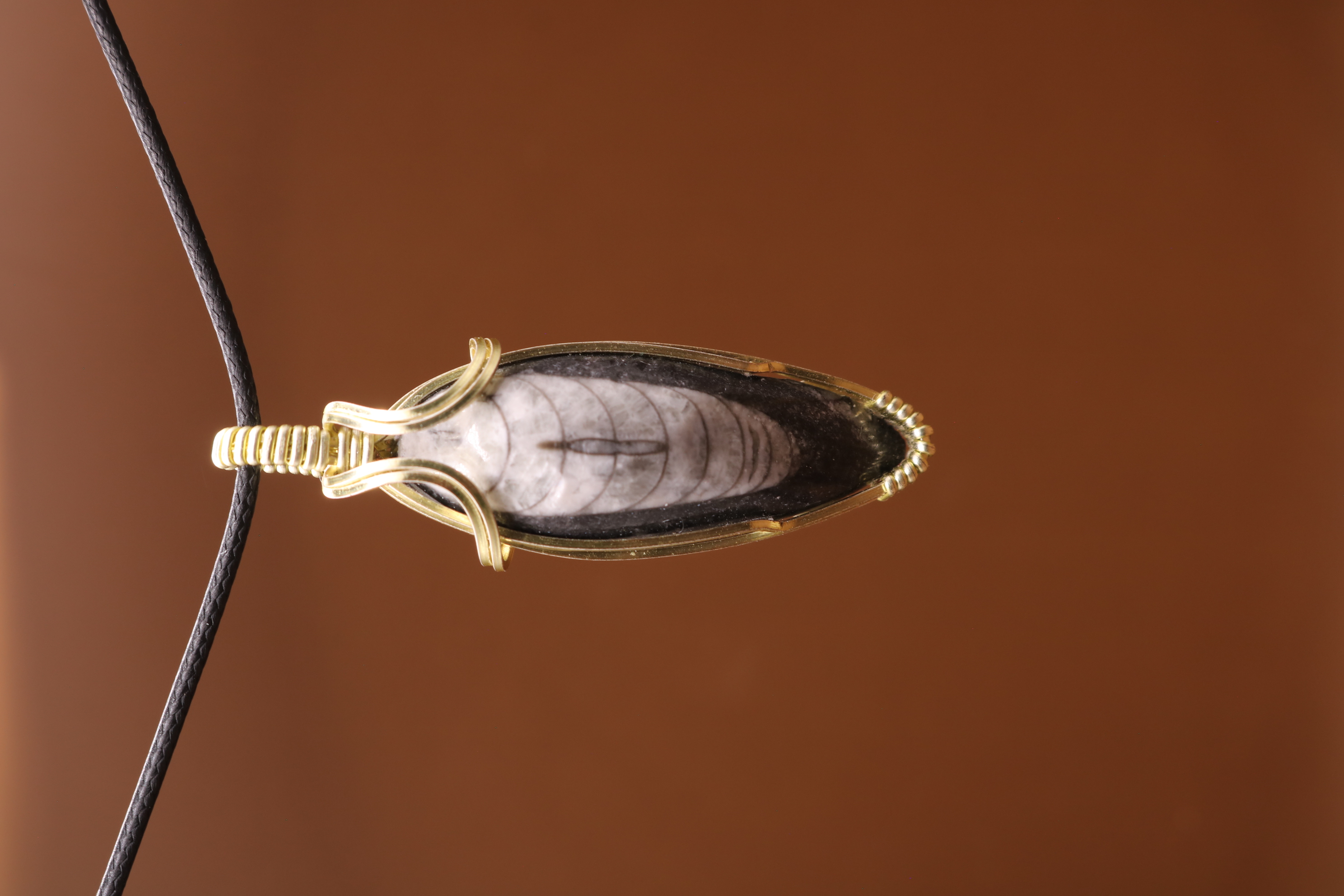 Gold Wire Wrapped Orthoceras Fossil Necklace Pendant