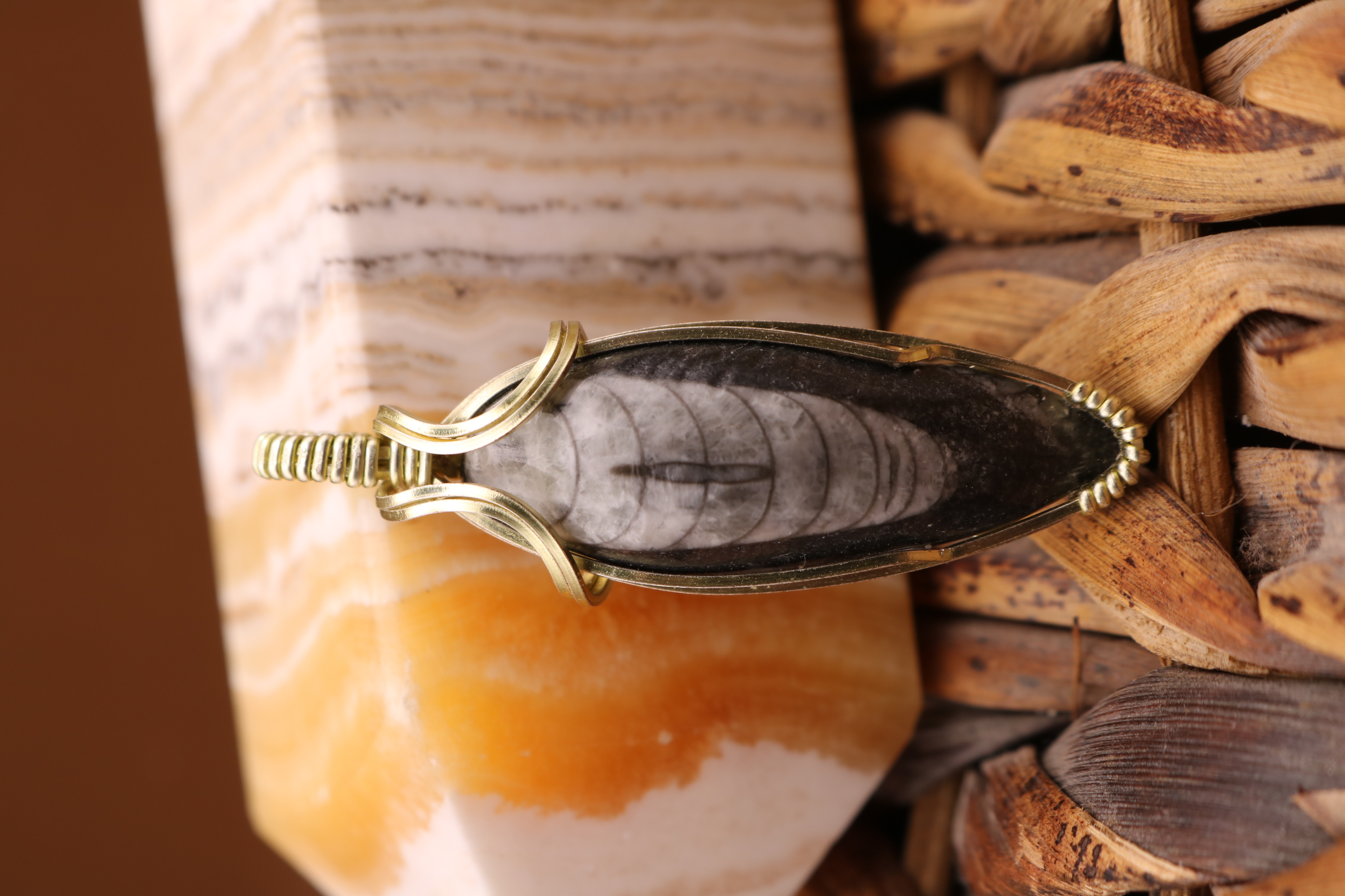 Gold Wire Wrapped Orthoceras Fossil Necklace Pendant