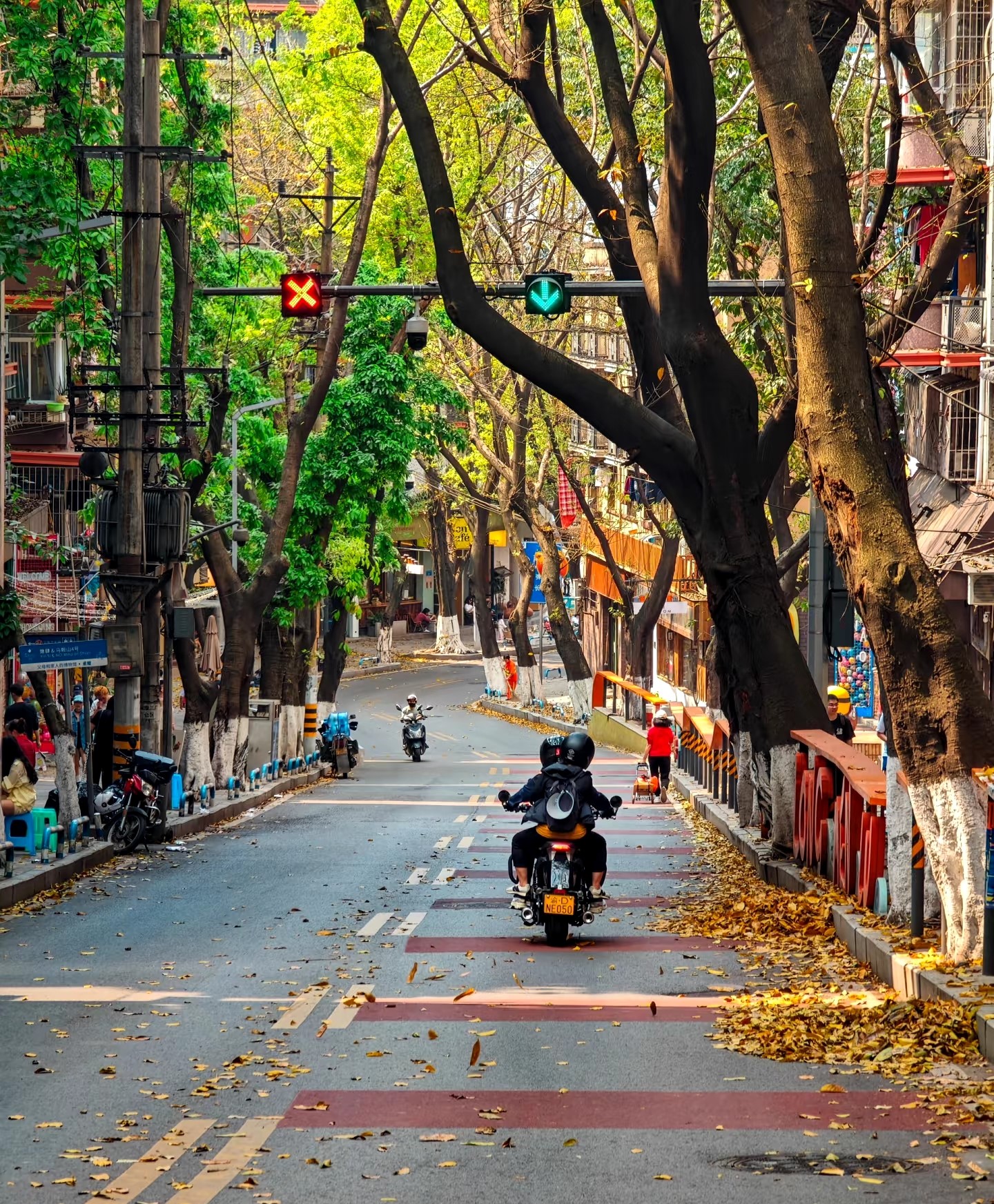 The 8D Cyber City Chongqing 5-day Escape 中国雾都 | 山水之城 | 魅力重庆 五日游