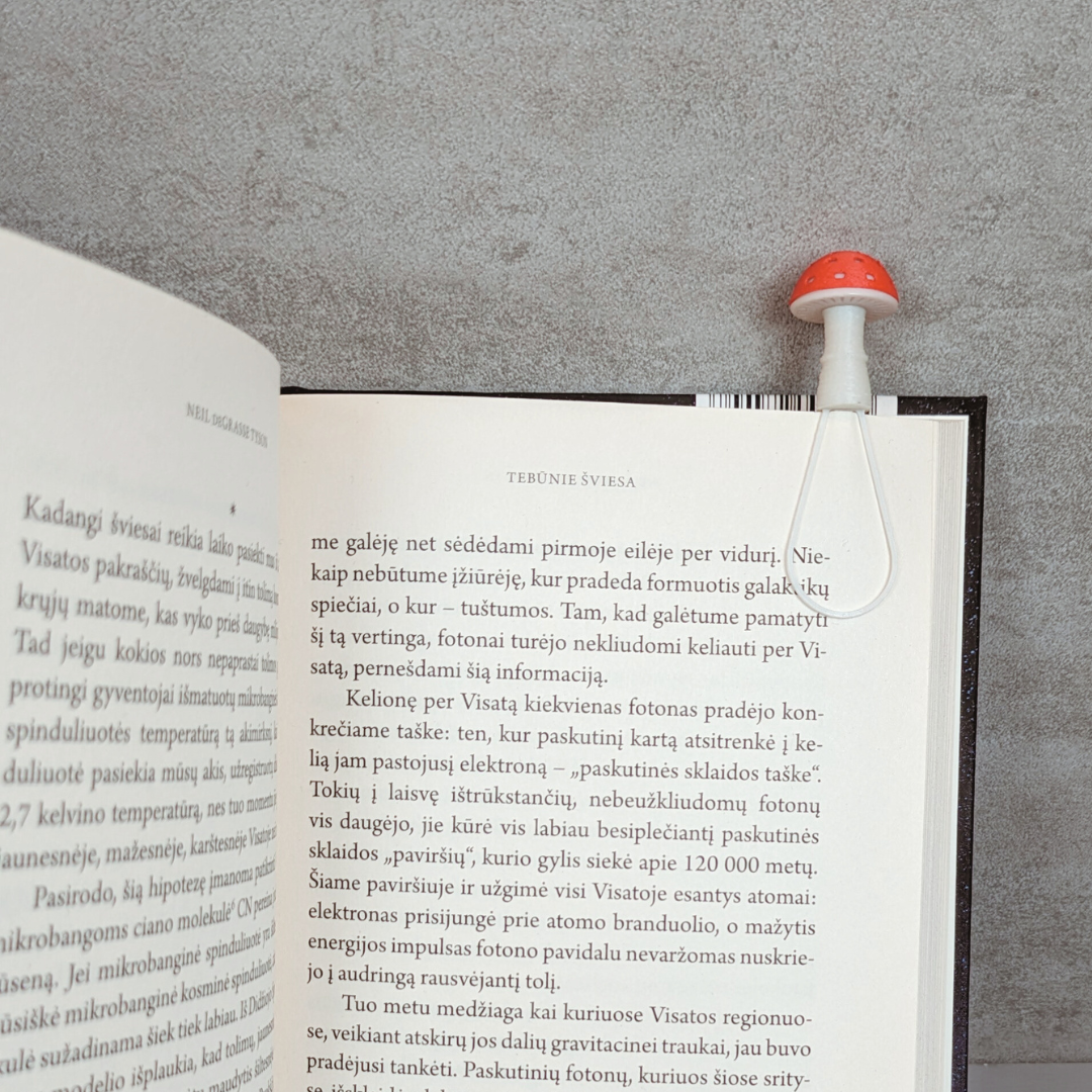 Knygos skirtukas - MUSMIRĖ