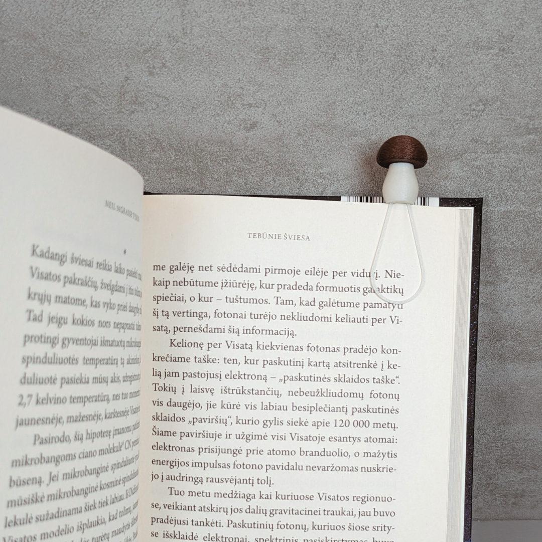 Knygos skirtukas - BARAVYKAS