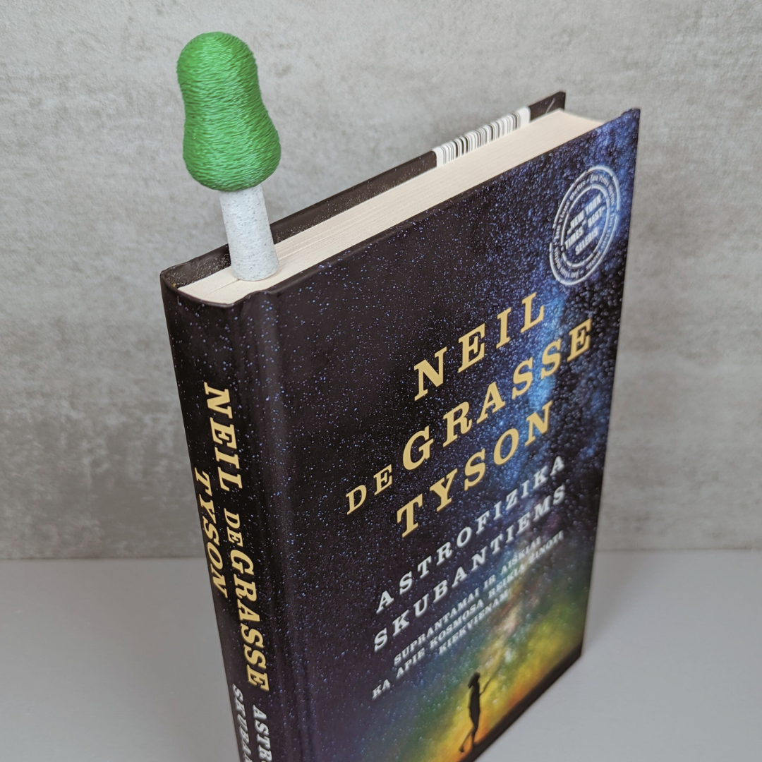 Knygų skirtukas - BERŽAS