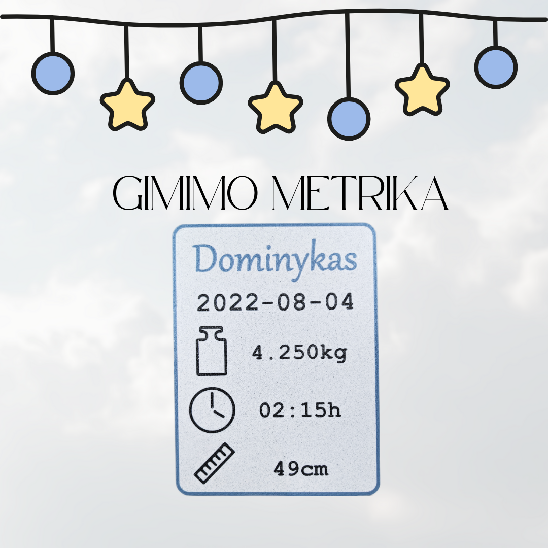 Gimimo metrika - ŽYDRA