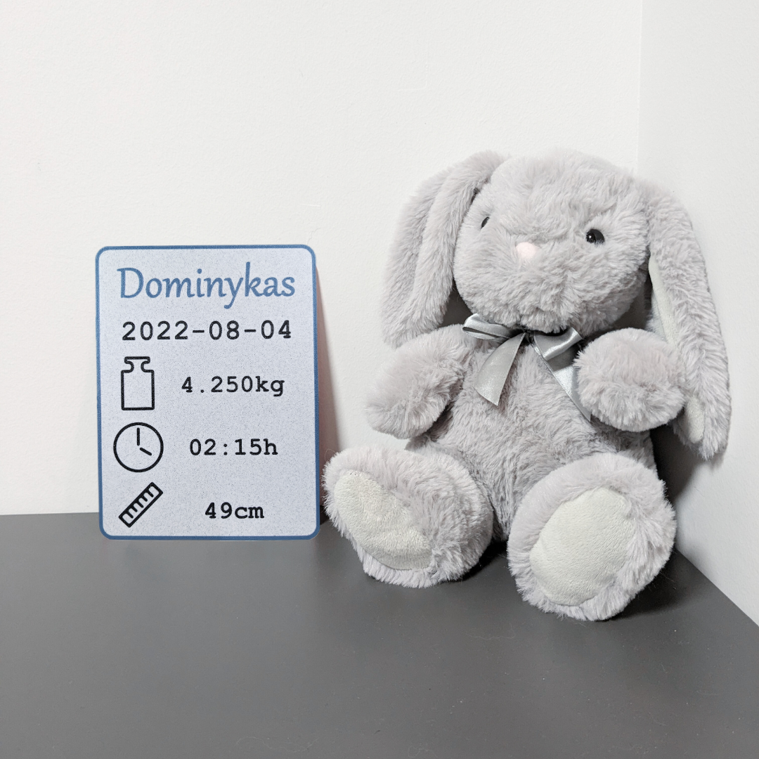 Gimimo metrika - ŽYDRA