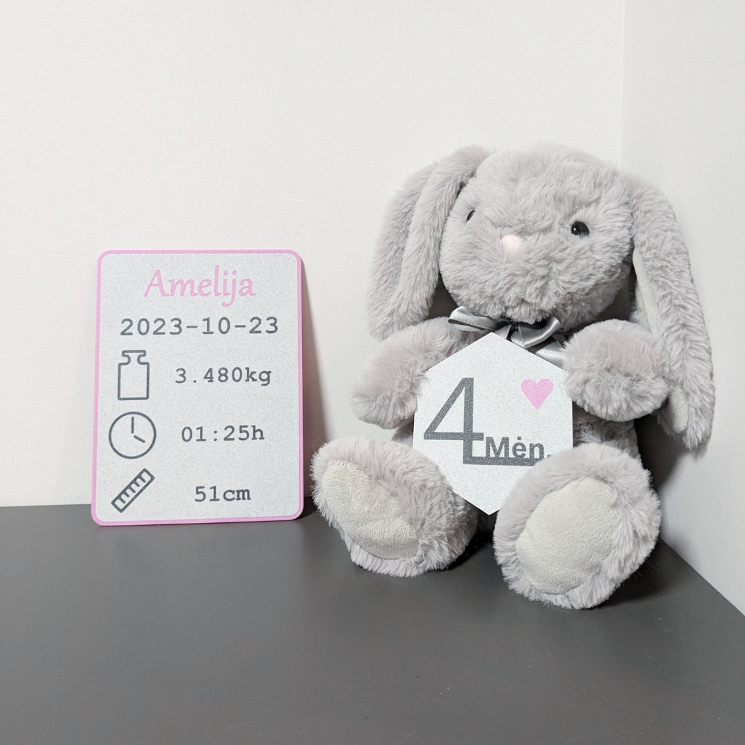 Kūdikio mėnesių kortelės