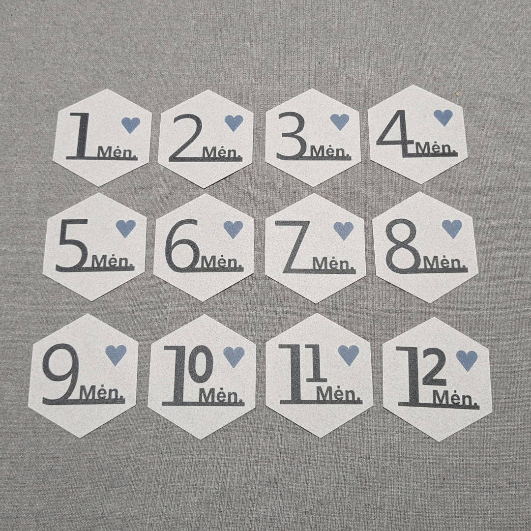 Kūdikio mėnesių kortelės