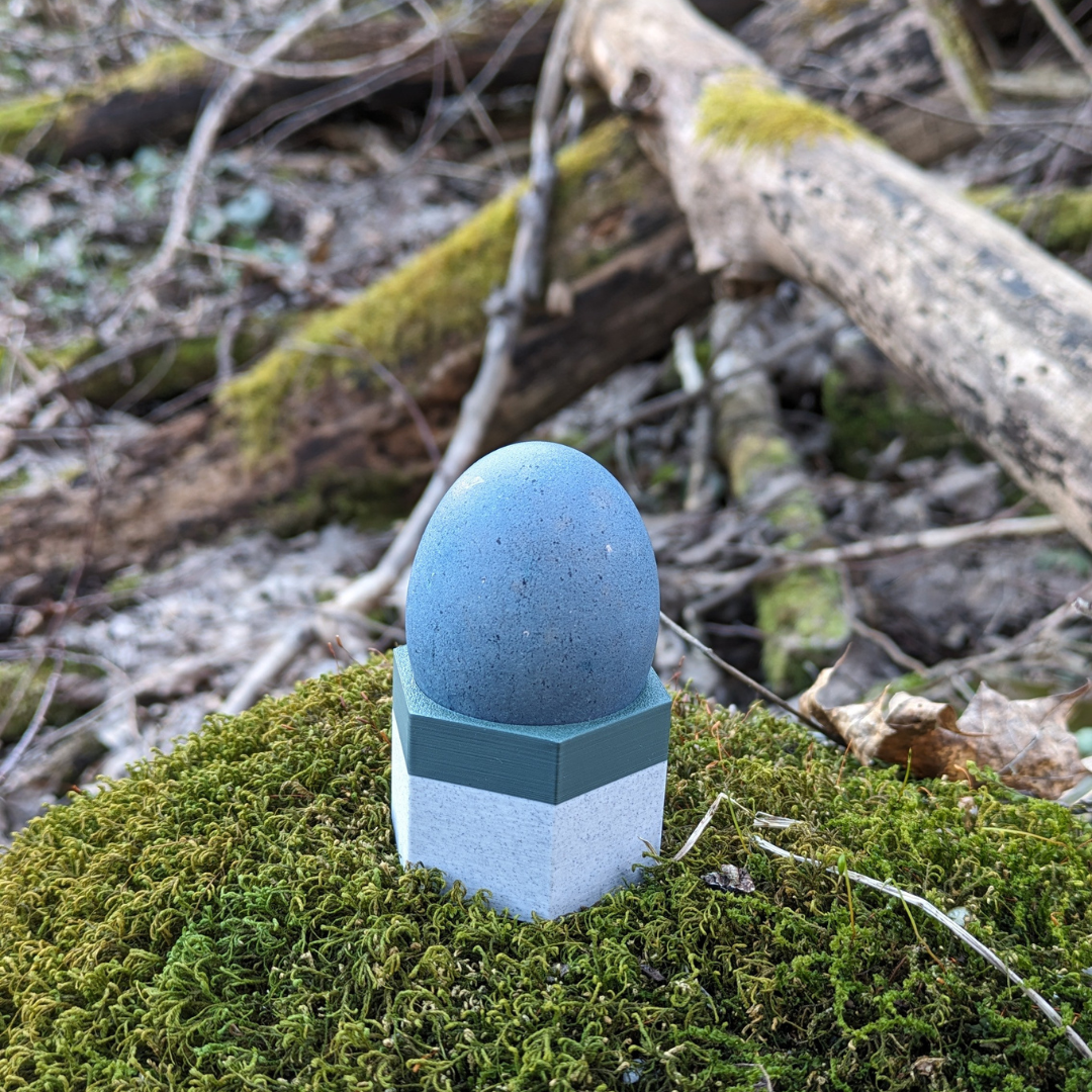 Kiaušinio laikiklis - ŠEŠIAKAMPIS