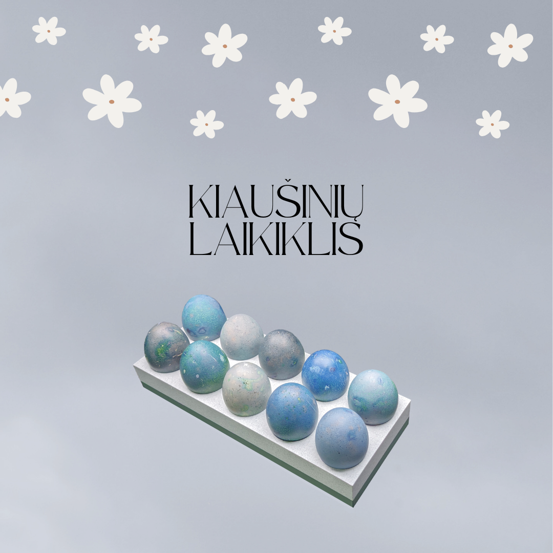 Kiaušinių laikiklis - 10 MARGUČIŲ