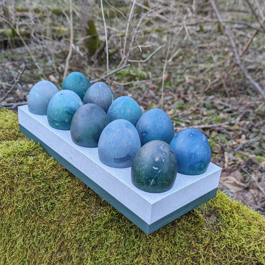 Kiaušinių laikiklis - 10 MARGUČIŲ