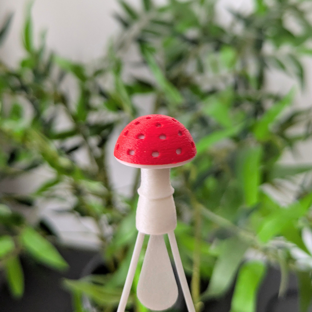 Knygos skirtukai - GRYBAI (išleistuvių dovana)