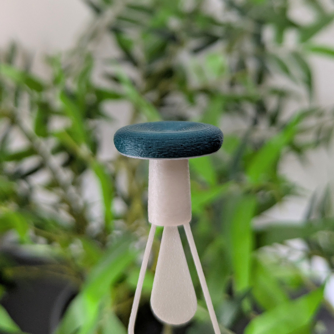 Knygos skirtukai - GRYBAI (išleistuvių dovana)