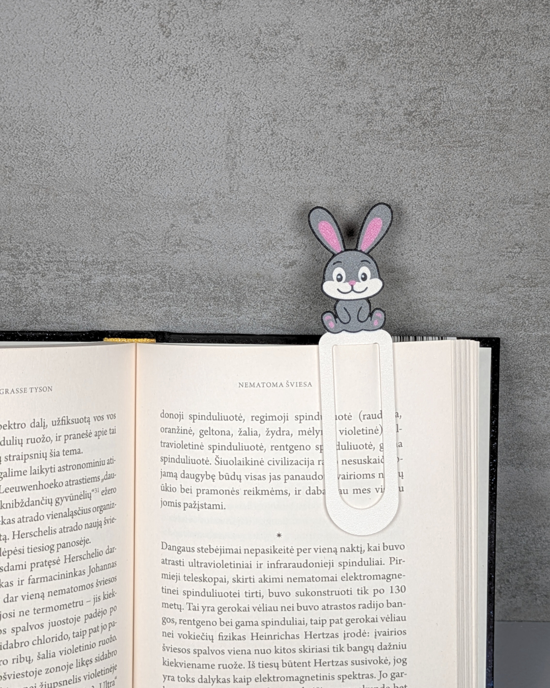 Knygų skirtukas - ZUIKIS