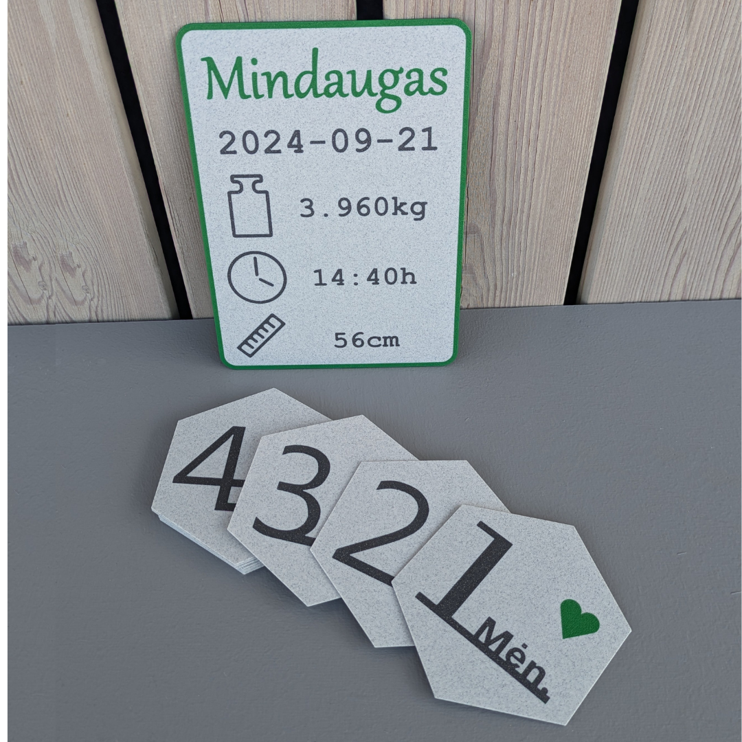 Gimimo metrika - ŽYDRA