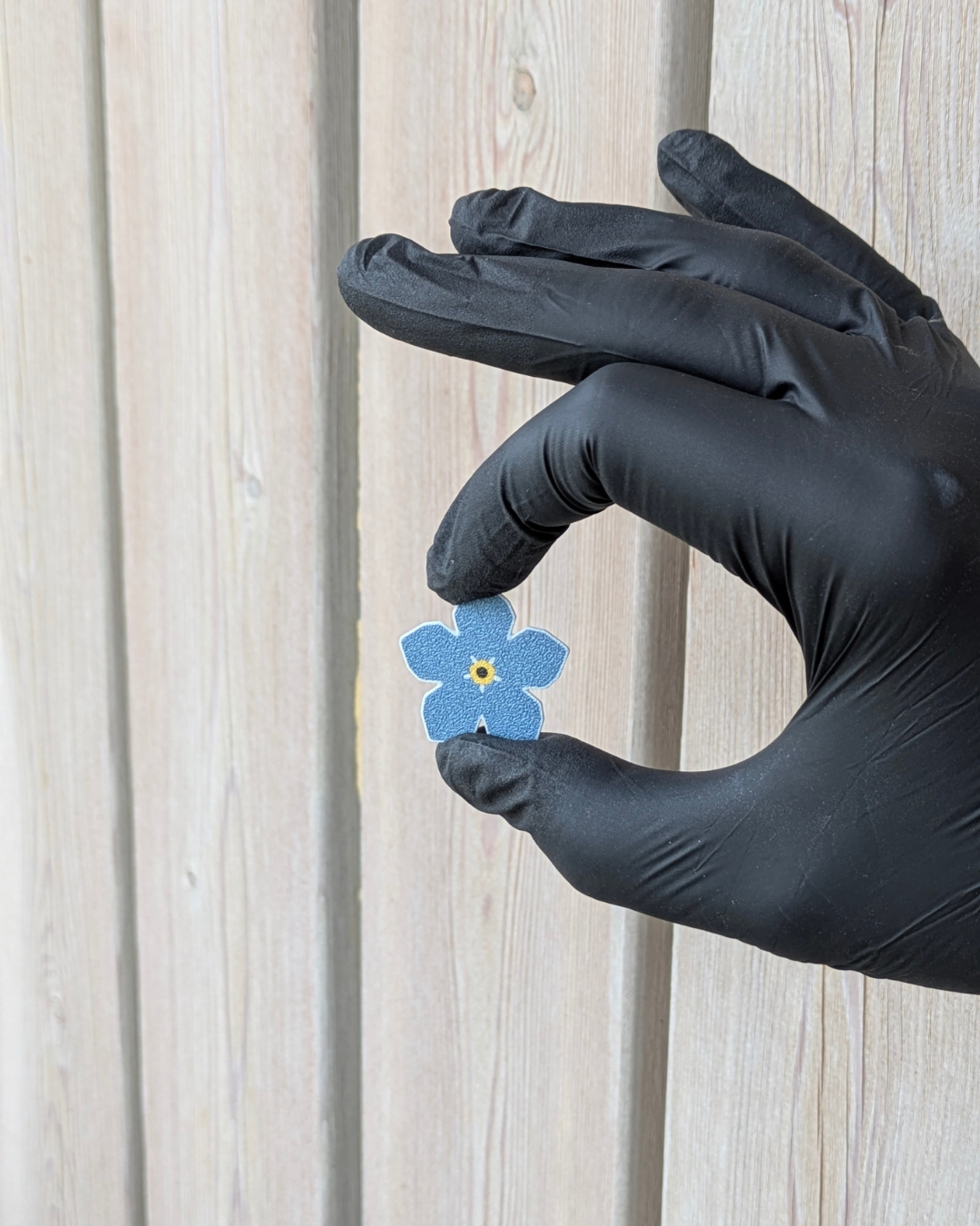 Segė - NEUŽMIRŠTUOLĖ