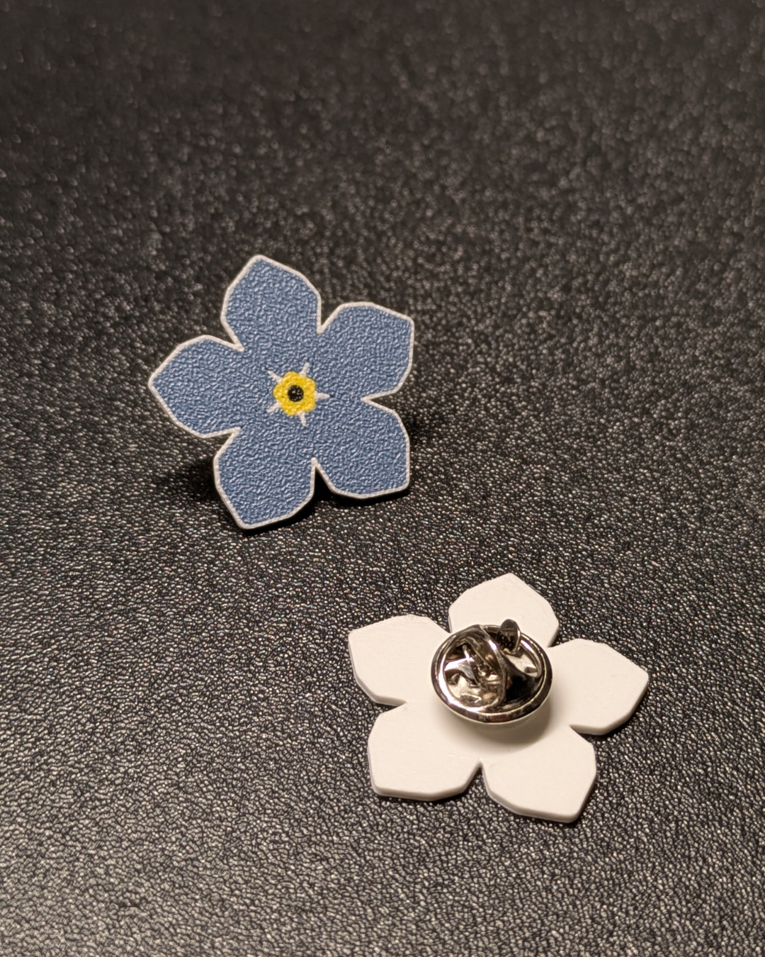 Segė - NEUŽMIRŠTUOLĖ