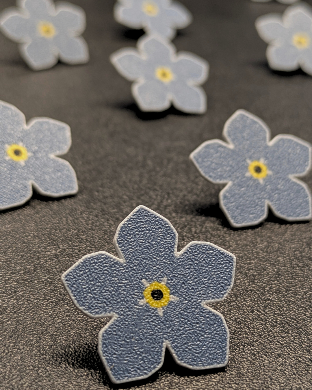 Segė - NEUŽMIRŠTUOLĖ